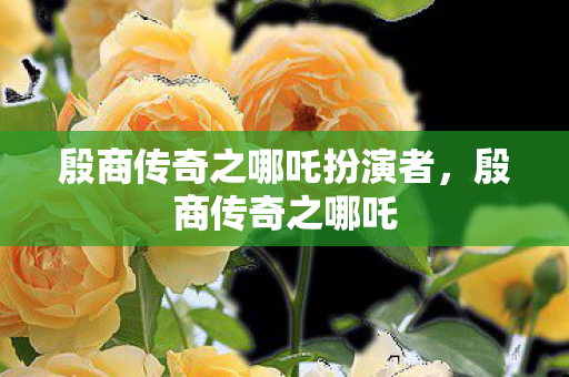 殷商传奇之哪吒扮演者，殷商传奇之哪吒