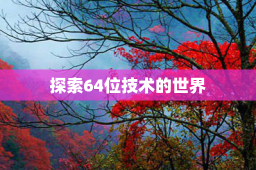 探索64位技术的世界