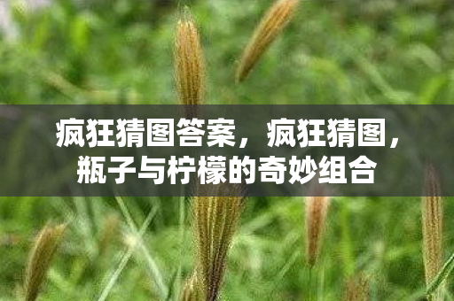 疯狂猜图答案，疯狂猜图，瓶子与柠檬的奇妙组合