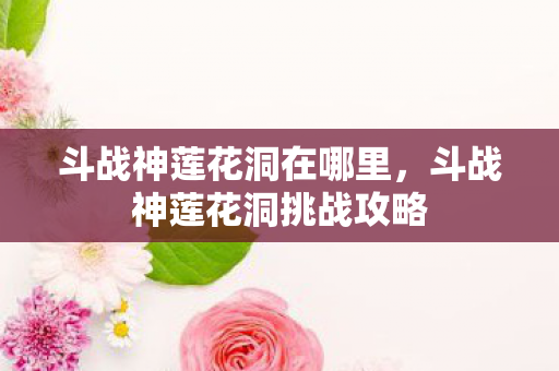 斗战神莲花洞在哪里，斗战神莲花洞挑战攻略
