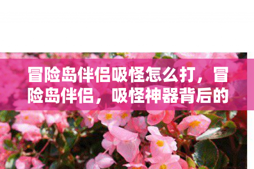 冒险岛伴侣吸怪怎么打,冒险岛伴侣,吸怪神器背后的故事 冒险岛伴侣吸怪怎么打,冒险岛伴侣,吸怪神器背后的故事