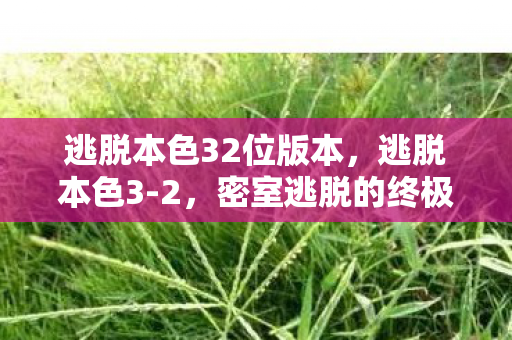 逃脱本色32位版本，逃脱本色3-2，密室逃脱的终极挑战