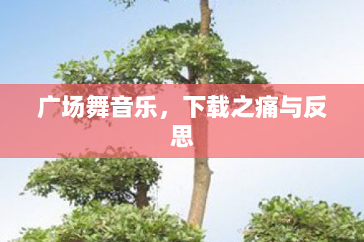 广场舞音乐，下载之痛与反思