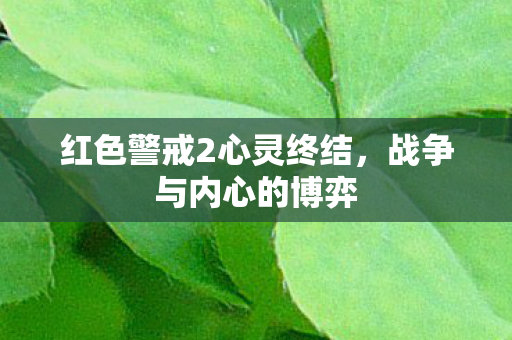 红色警戒2心灵终结，战争与内心的博弈