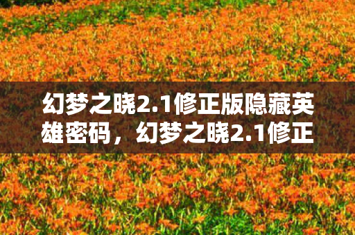 幻梦之晓2.1修正版隐藏英雄密码，幻梦之晓2.1修正版，探索未知世界的奇幻之旅