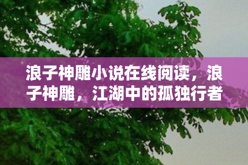 浪子神雕小说在线阅读，浪子神雕，江湖中的孤独行者