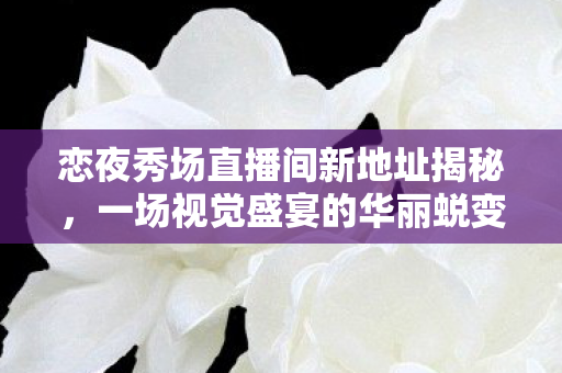 恋夜秀场直播间新地址揭秘，一场视觉盛宴的华丽蜕变