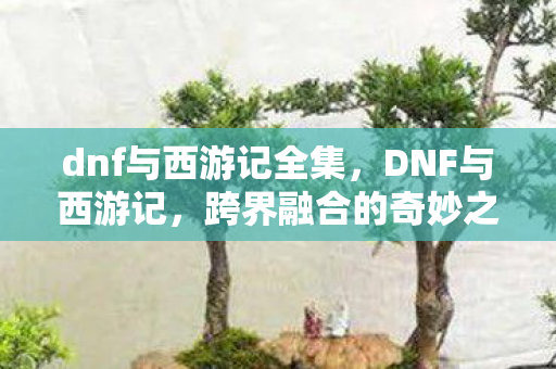 dnf与西游记全集，DNF与西游记，跨界融合的奇妙之旅