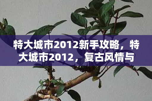 特大城市2012新手攻略，特大城市2012，复古风情与现代生活的完美融合