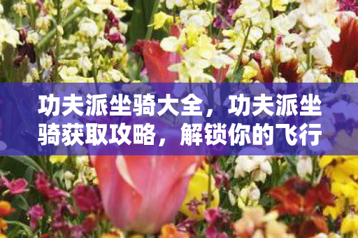 功夫派坐骑大全，功夫派坐骑获取攻略，解锁你的飞行之旅