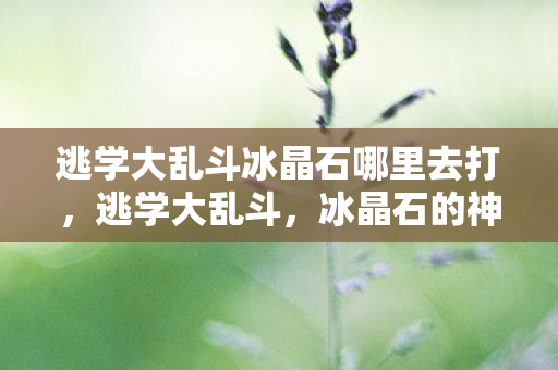 逃学大乱斗冰晶石哪里去打，逃学大乱斗，冰晶石的神秘力量