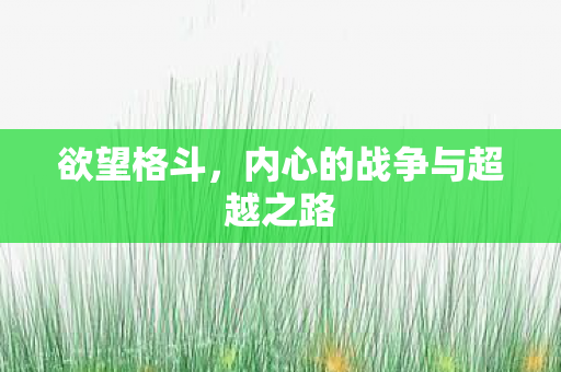 欲望格斗,内心的战争与超越之路 欲望格斗,内心的战争与超越之路