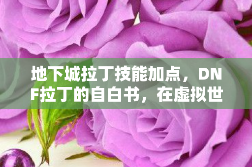 地下城拉丁技能加点，DNF拉丁的自白书，在虚拟世界的探索与成长