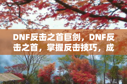 DNF反击之首巨剑，DNF反击之首，掌握反击技巧，成为战场上的不败神话
