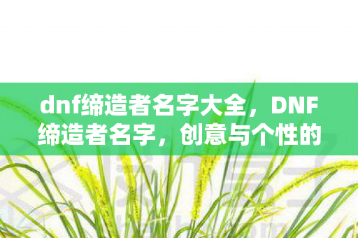 dnf缔造者名字大全，DNF缔造者名字，创意与个性的展现