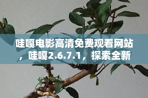 哇嘎电影高清免费观看网站，哇嘎2.6.7.1，探索全新版本的无限可能