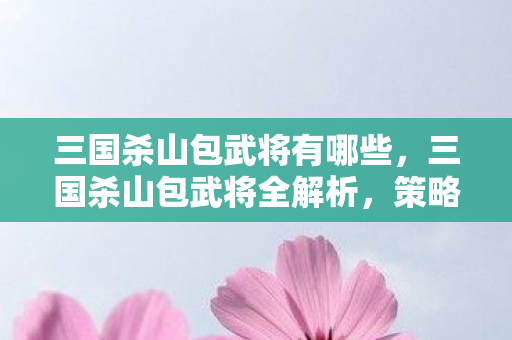 三国杀山包武将有哪些，三国杀山包武将全解析，策略与技巧的碰撞