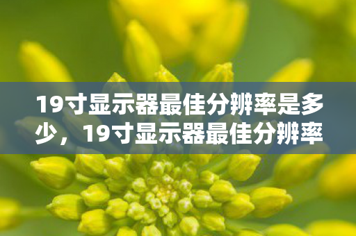 19寸显示器最佳分辨率是多少，19寸显示器最佳分辨率全解析