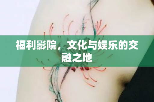 福利影院,文化与娱乐的交融之地 福利影院,文化与娱乐的交融之地