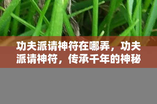 功夫派请神符在哪弄，功夫派请神符，传承千年的神秘符咒