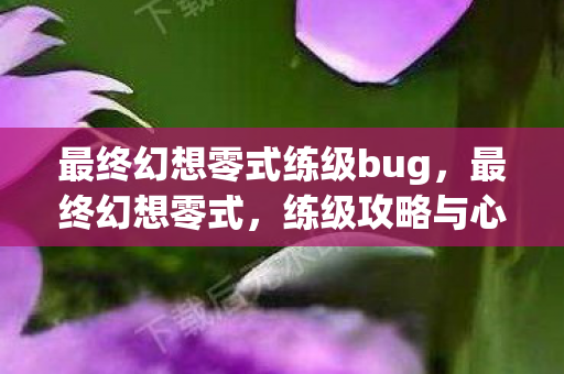 最终幻想零式练级bug，最终幻想零式，练级攻略与心得分享