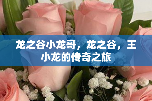 龙之谷小龙哥，龙之谷，王小龙的传奇之旅