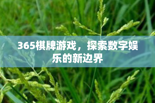 365棋牌游戏，探索数字娱乐的新边界
