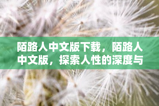 陌路人中文版下载，陌路人中文版，探索人性的深度与广度