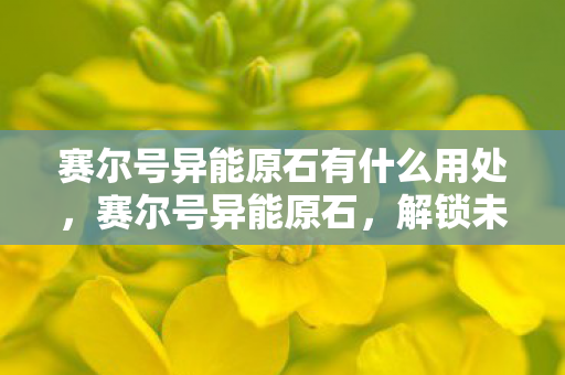 赛尔号异能原石有什么用处，赛尔号异能原石，解锁未知力量的神秘钥匙