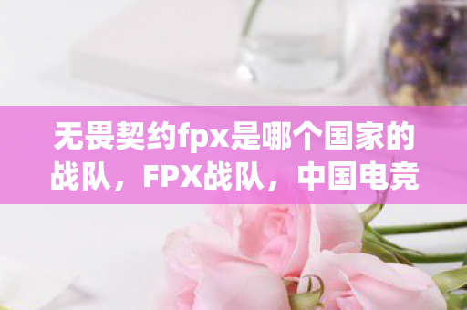无畏契约fpx是哪个国家的战队，FPX战队，中国电竞的新生力量