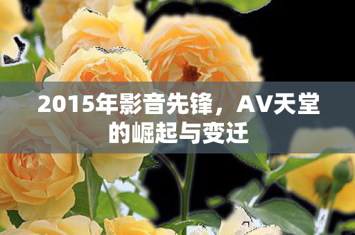 2015年影音先锋，AV天堂的崛起与变迁