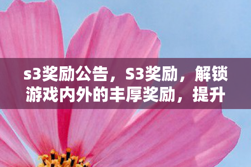s3奖励公告，S3奖励，解锁游戏内外的丰厚奖励，提升你的游戏体验