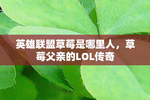 英雄联盟草莓是哪里人，草莓父亲的LOL传奇