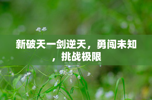 新破天一剑逆天,勇闯未知,挑战极限 新破天一剑逆天,勇闯未知,挑战极限