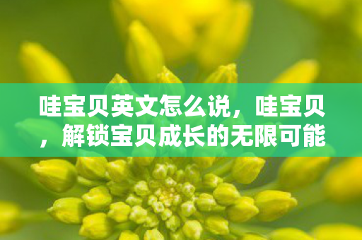 哇宝贝英文怎么说，哇宝贝，解锁宝贝成长的无限可能