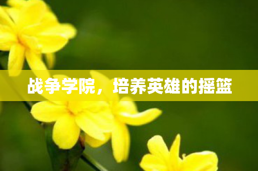 战争学院，培养英雄的摇篮