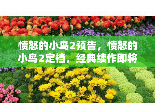 愤怒的小鸟2预告，愤怒的小鸟2定档，经典续作即将回归！