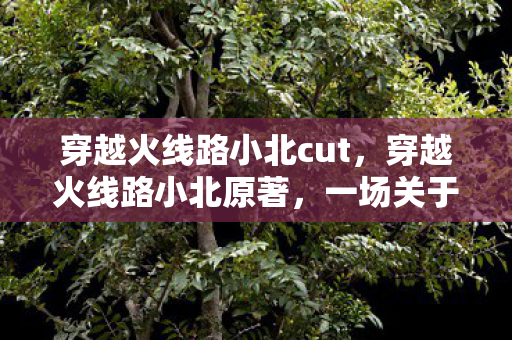 穿越火线路小北cut，穿越火线路小北原著，一场关于勇气与成长的奇幻之旅