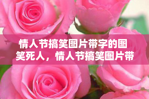 情人节搞笑图片带字的图 笑死人，情人节搞笑图片带字，爱的另类表达
