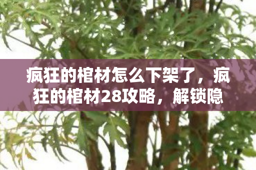 疯狂的棺材怎么下架了，疯狂的棺材28攻略，解锁隐藏关卡，挑战极限！