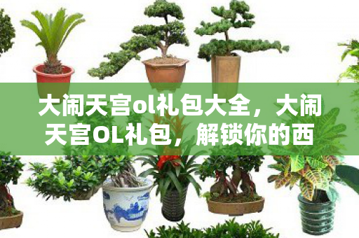 大闹天宫ol礼包大全，大闹天宫OL礼包，解锁你的西游之旅