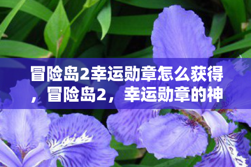 冒险岛2幸运勋章怎么获得，冒险岛2，幸运勋章的神秘力量