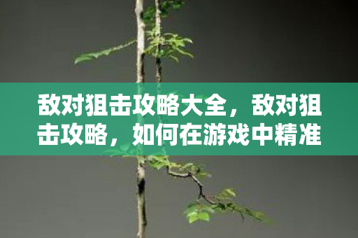 敌对狙击攻略大全，敌对狙击攻略，如何在游戏中精准狙击，成为战场上的狙击手之王