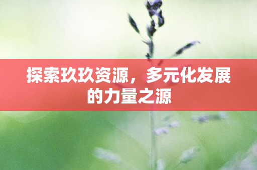 探索玖玖资源，多元化发展的力量之源