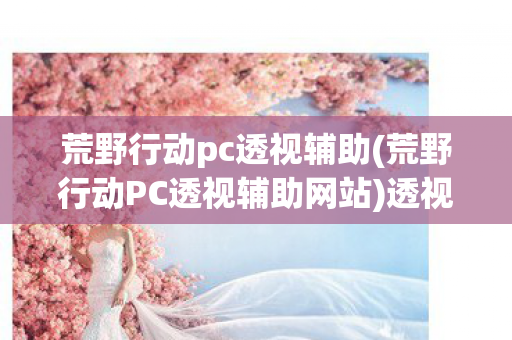 荒野行动pc透视辅助(荒野行动PC透视辅助网站)透视技术，荒野行动PC版中的作弊与反作弊