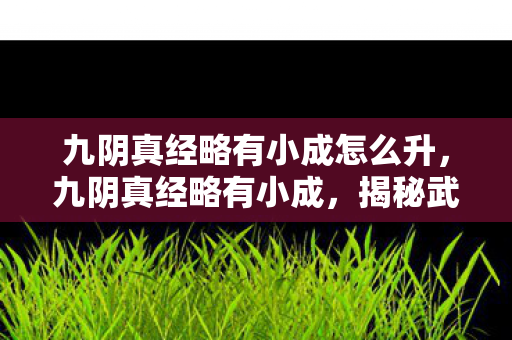 九阴真经略有小成怎么升，九阴真经略有小成，揭秘武侠世界的内功心法