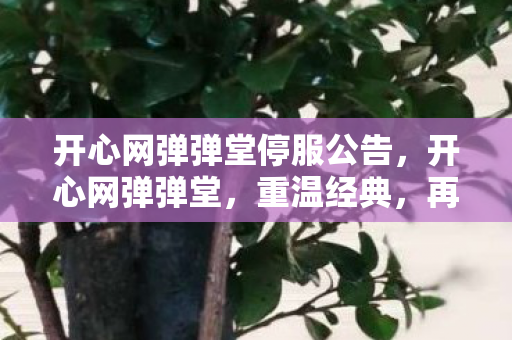 开心网弹弹堂停服公告，开心网弹弹堂，重温经典，再续童年回忆