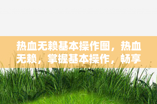 热血无赖基本操作图，热血无赖，掌握基本操作，畅享游戏乐趣