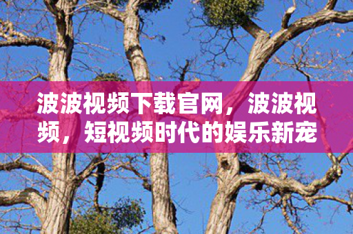 波波视频下载官网,波波视频,短视频时代的娱乐新宠 波波视频下载官网,波波视频,短视频时代的娱乐新宠