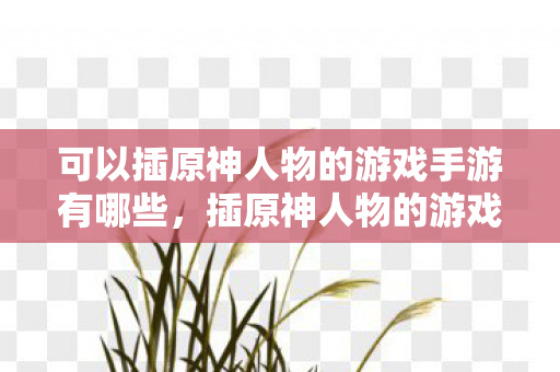 可以插原神人物的游戏手游有哪些，插原神人物的游戏手游，探索未知世界的奇妙之旅